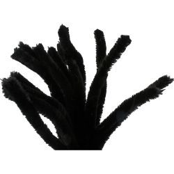 Ciniglia