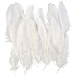 Piume