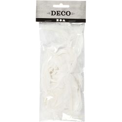 Piume d'oca