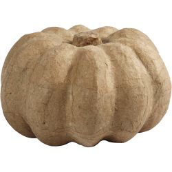 Zucca