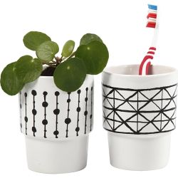 Tazza