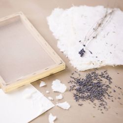 Kit Fai da te Principiante La Fabbricazione della Carta